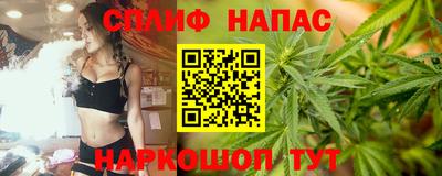 индика Мариинск