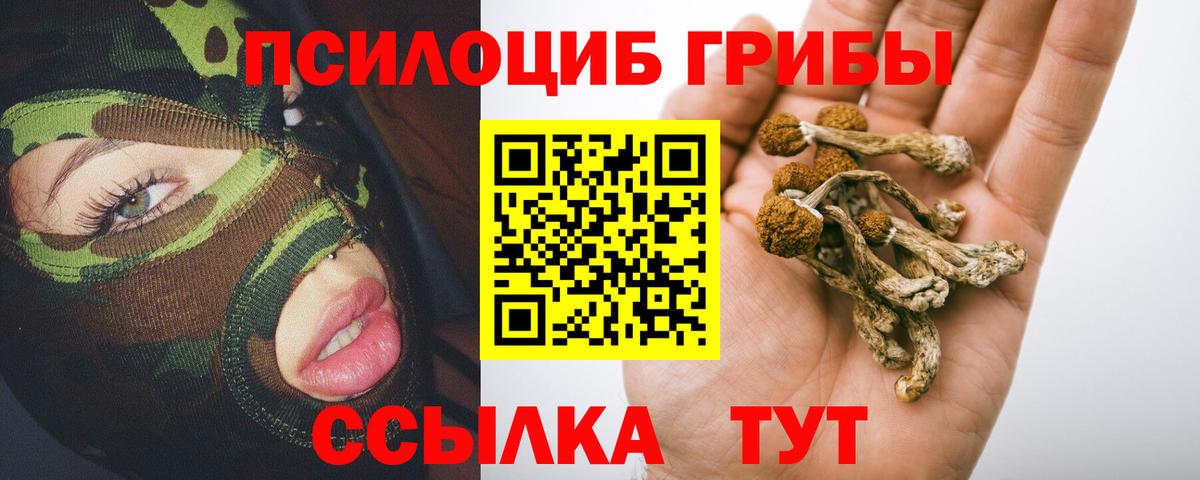 Галлюциногенные грибы MAGIC MUSHROOMS  Вход с VPN  Великий Устюг 